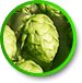 hops