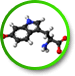 L-Theanine