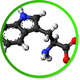L-Theanine