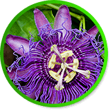 Passion Flower Powder 